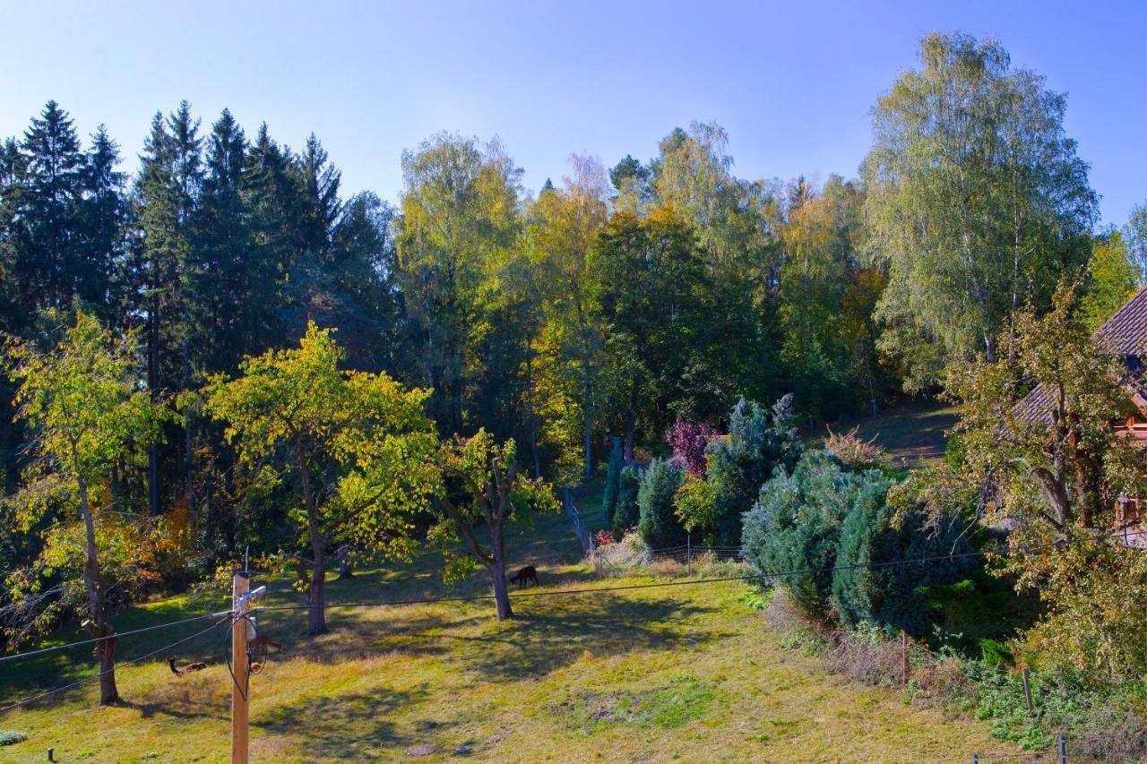 Pension Haus Fuerstenberg Beierfeld Exterior foto